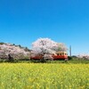 AI分析　2025.2.9馬場情報（小倉競馬場）