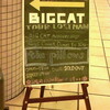 　the pillows TOUR 08 LOSTMAN GO TO CITY＠大阪BIG CAT（12/9）