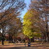 小金井公園と江戸東京たてもの園