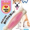 【柴犬】【カミカミ】安全に遊ぼう！ハーツ デンタルボーンの正直感想！