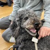 2023年4月の活動