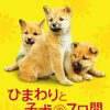 ひまわりと子犬の7日間