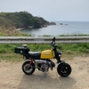 代わりばんこね🏍　バイクの維持、管理　ゴリラでお散歩