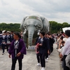 山王祭 神幸行列（神幸祭）⑥「東京丸の内行幸通り」