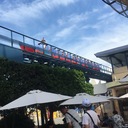 今日はどのパンにしよう