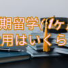1ヶ月の短期留学にかかる費用まとめ！留学中の生活費が安い国も教えます！