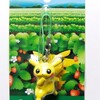 【購入】ポケモンセンターフクオカ限定 ピカチュウかくれんぼチュウ(2011年11月26日(土)発売)