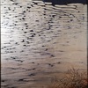クルーズ客船 飛鳥Ⅲ アート公募展