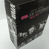 VIVA JOE STRUMMER