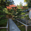 京都の紅葉2013～高桐院の落ち葉