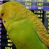 ８月２１日の相場を見てみたよ　チュン