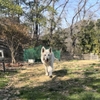 それぞれ性格が違ったり、セミナー受けたり