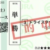 ドライスタウト  オキザリス賞も圧勝！　次走は全日本２歳優駿？
