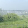 いついらいだろ