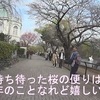 ご近所　井の頭公園・石神井公園・小金井公園：桜見　プチツー　🌸🌸　^^!