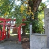 愛宕神社のハルニレ(板柳町石野)