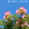🌿薫る、眠りの花🌿