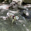 丹沢でまったり