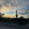 2401年始旅-day8/Saguaro National Park