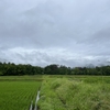 2024/06/23 日曜日　梅雨空