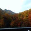 紅葉ライド64km