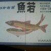 ２００４年８月１８日宍道湖自然館ゴビウスと魚魚あわせ