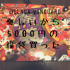 《2019年ヴィレッジヴァンガード5,000円福袋》得なの損なの？教えてやる。