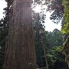 ５月稲荷山参拝その９