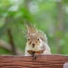 🐿️那須どうぶつ王国に初めて訪問しました♪