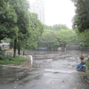 雨の新宿中央公園。