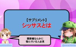記事を見る