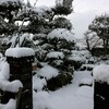 雪,雪…