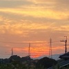 お彼岸にすごい写真がとれました