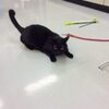 本日は休診日です　20180131