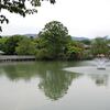 帰京　長岡天満宮のキリシマツツジはもう終わっていた・・・