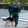 働く犬、警察犬