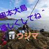 フカセ釣り　串本の沖磯で爆釣！とはいかないようで・・ｗ動画アリ