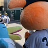 感動の瞬間！ジャビットに会えた幸福な時間 #球場 #甲子園 (その1)(642)