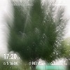 雨がやんでたので中強度走