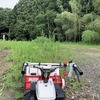 丸山城跡本丸の草刈りとメンテナンス