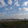 森ヶ崎水再生センター屋上営巣地春の整備作業報告