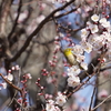 生活リズムの変化