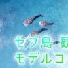 セブ島観光のモデルコースご紹介！日数別、子連れ向けなど多様なプランを教えます