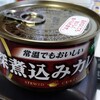 初めて、缶詰カレーを食べてみた。(水曜日、温かい晴れ)