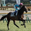 武豊 2歳新馬ヴィニーは10月京都1600mでデビュー