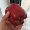 中国河南省開封市 パプリカみたいな形のリンゴでアップルパイ作り🍎おまけでタルトタタンも♪