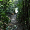 大海山登山