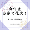 今年はお家で花火！楽しみ方や注意点は？