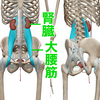 ハイハイで分かる知的障害②