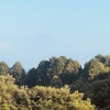今朝の景色